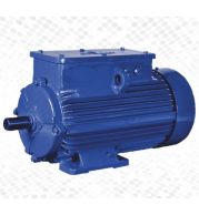 Slipring Wound Rotor Induction Motors 5-1500kW 415V/6.6kV 4/6/8 Pole IP55 | External Rotor Resistance High Starting Torque | TEFC Cast Iron Frame | Cement/Sugar Mill Applications | DEWA Approved UAE Heavy Duty Solutions